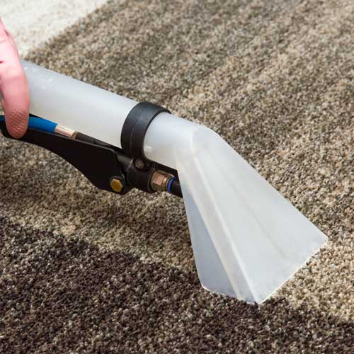 Carpet Cleaning | Sterling Carpet Shops, Inc