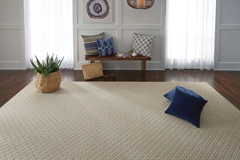 Area Rug in Entryway | Sterling Carpet Shops